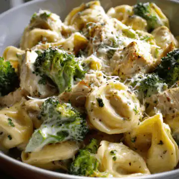 Creamy Garlic Parmesan Tortellini with Chicken & Broccoli