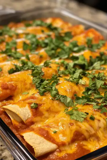 Chicken enchiladas taken with iphone 15 pro max --iw 2 --ar 4:5 --v 6.1 --raw