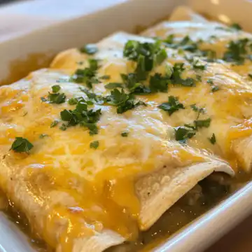 Green chile enchiladas taken with iphone 15 pro max --iw 2 --ar 4:5 --v 6.1 --raw