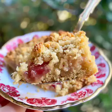 Rhubarb Dump Cake taken with iphone 15 pro max --iw 2 --ar 4:5 --v 6.0 --raw