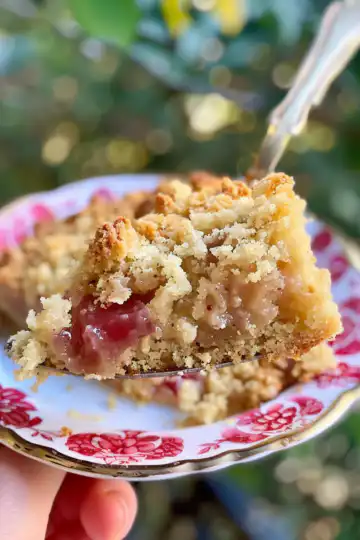 Rhubarb Dump Cake taken with iphone 15 pro max --iw 2 --ar 4:5 --v 6.0 --raw
