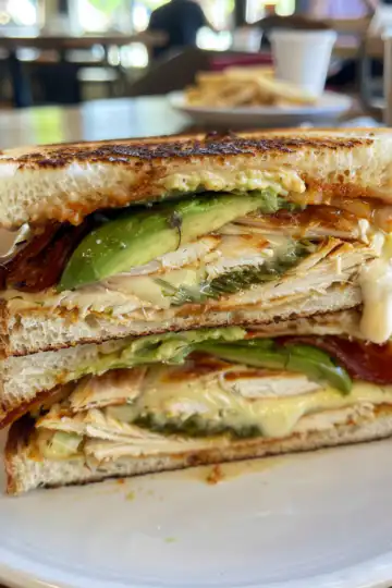 Chicken Avocado Melt Sandwich taken with iphone 15 pro max --iw 2 --ar 4:5 --v 6.0 --raw