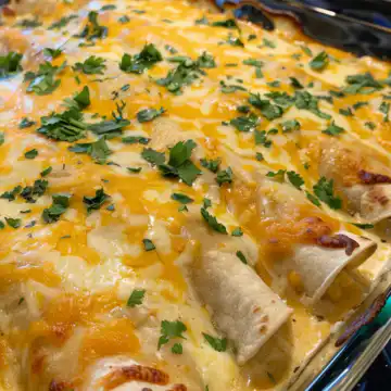 Chicken Enchiladas with Sour Cream White Sauce taken with iphone 15 pro max --iw 2 --ar 4:5 --v 6.0 --raw