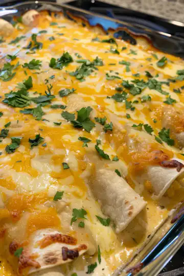 Chicken Enchiladas with Sour Cream White Sauce taken with iphone 15 pro max --iw 2 --ar 4:5 --v 6.0 --raw