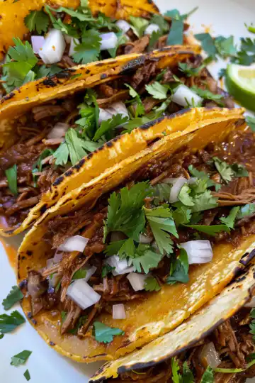 Crock Pot Birria Tacos taken with iphone 15 pro max --iw 2 --ar 4:5 --v 6.0 --raw