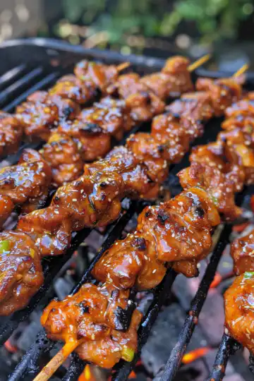 Filipino BBQ Pork Skewers taken with iphone 15 pro max --iw 2 --ar 4:5 --v 6.0 --raw